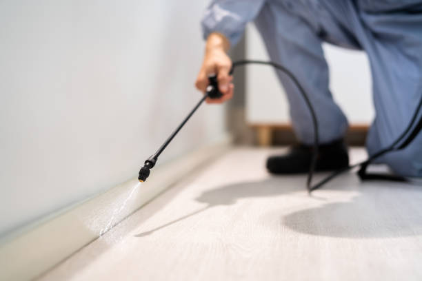 Licensed Termite Control service in Zilwaukee, MI - Show Me Pest Control